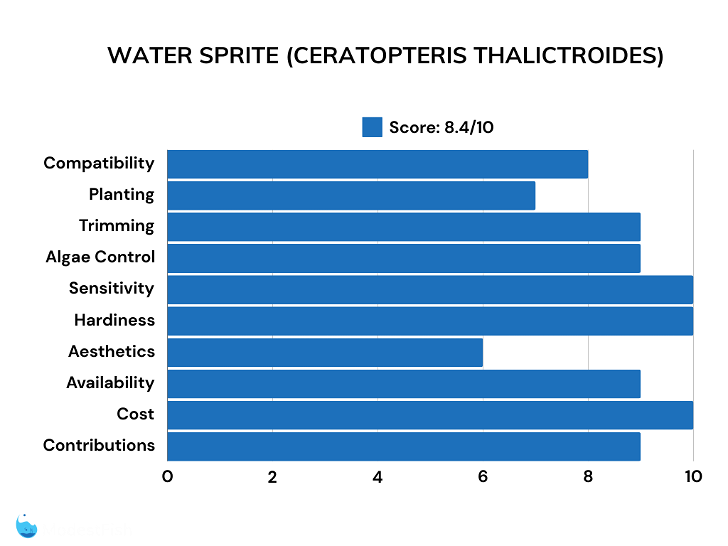 Water sprite scores for betta plants