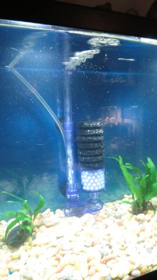 Upettools sponge filter in tank