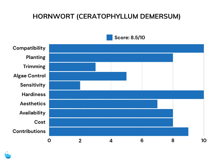 Hornwort comparison scores for goldfish plants