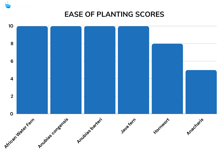 Ease of planting comparison scores for goldfish plants