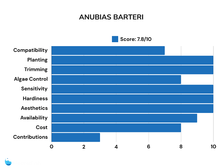 Anubias barteri plant scores for shrimp