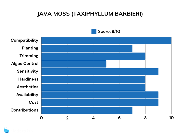 Java moss plant scores for shrimp