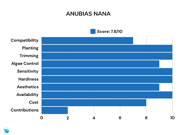 Anubias nana plant scores for shrimp