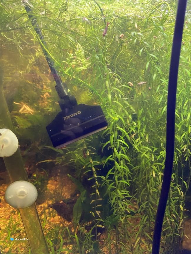 Green Newdiva Aquarium Glass Brush Fish Tank Cleaning Plant Algae Scraper Scrubber Cleaner Sponge Algae Remover 