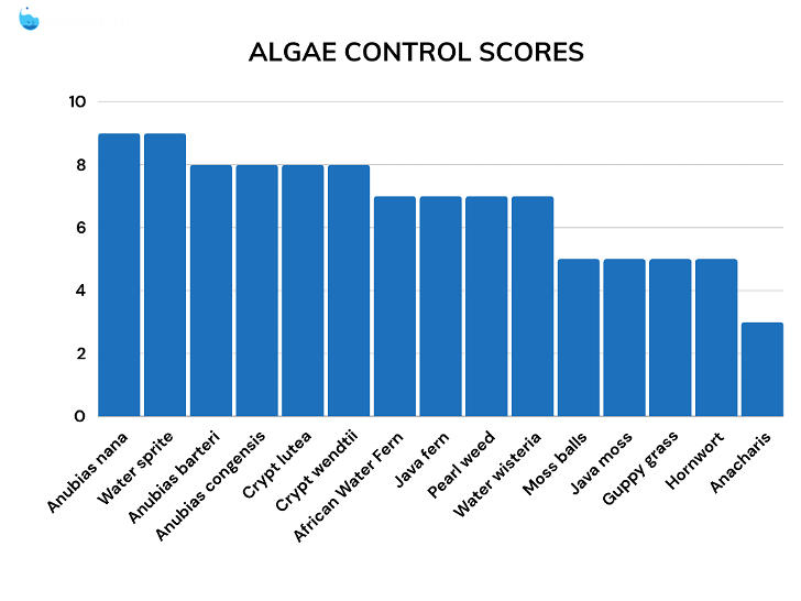 Shrimp plants algae control comparison scores