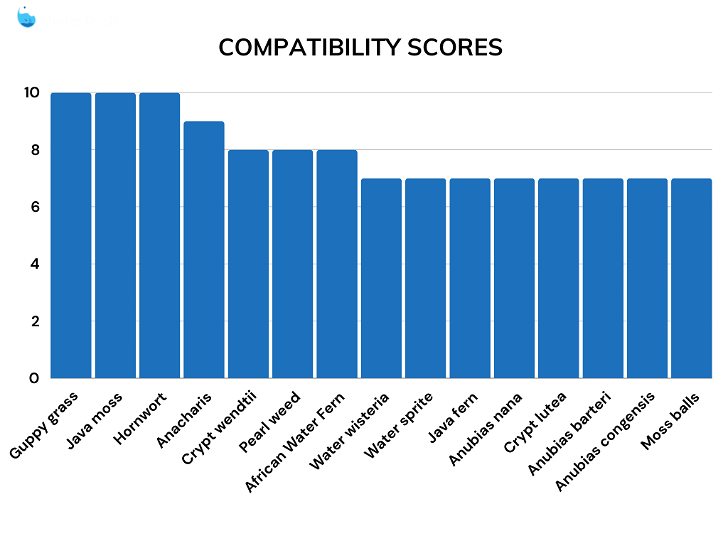 Compatibility comparison chart