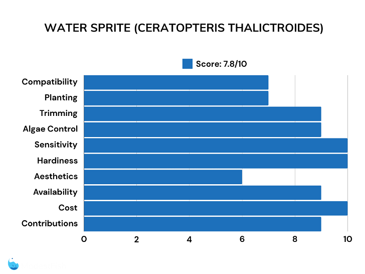 Water sprite plant scores for shrimp