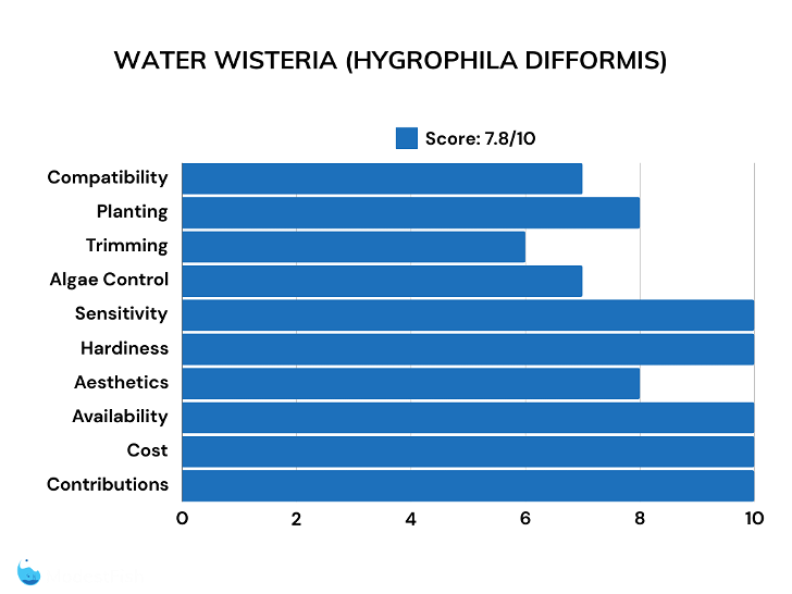 Water wisteria plant scores for shrimp