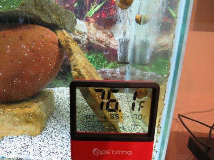 Capetsma Aquarium Thermometer with Digital Touch Screen