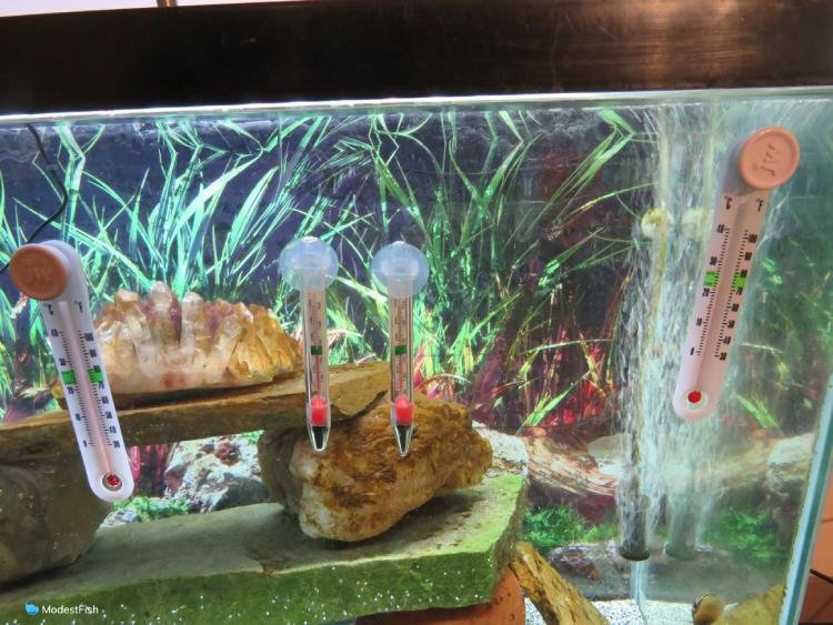 Black Gemini_mall® New Fish Tank Water Aquarium LCD Digital Thermometer