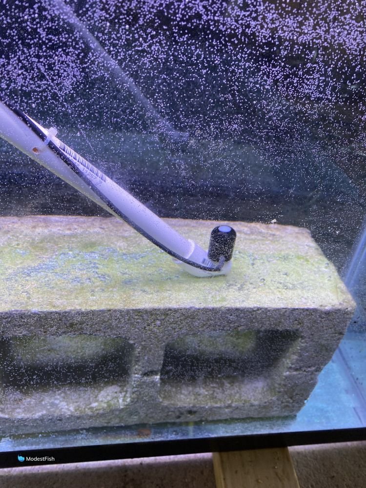 Under water PAR tester for aquarium lights