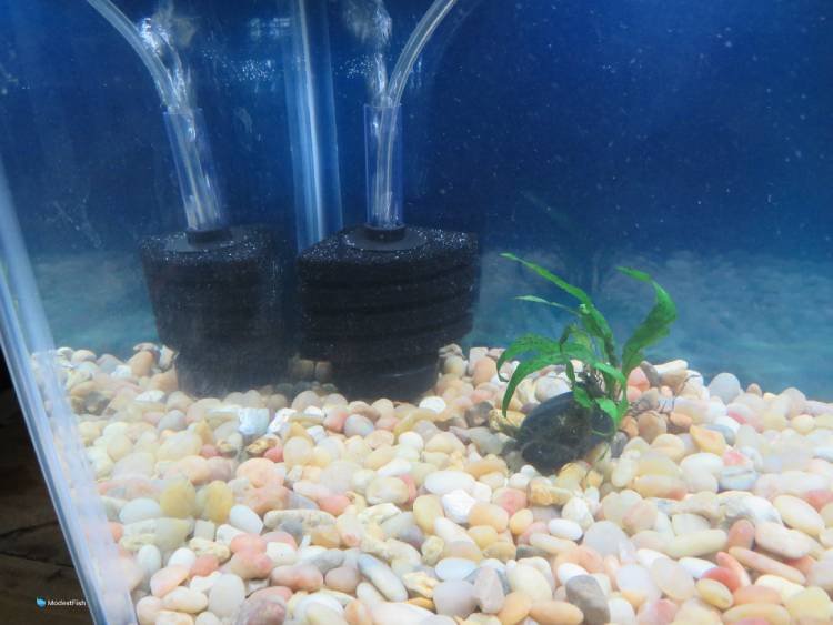 Aquaneat Aquarium Bio Sponge Filter Corner Filter Breeding Shrimp Nano Fish Tank Water 