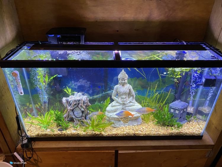 BeamsWork Vivio Full Spectrum LED Timer Adjustable Dimmer Aquarium Fish Tank Light Freshwater 12 20 24 30 36 48 