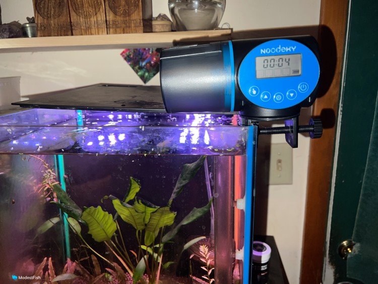 Noodoky automatic feeder mounted on fish tank