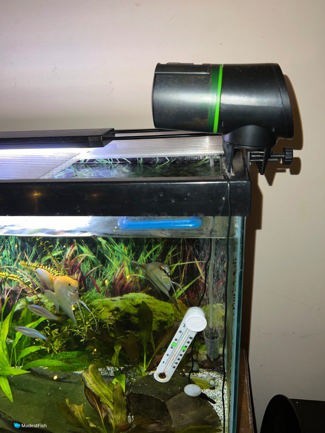 Zacro auto feeder mounted on fish tank