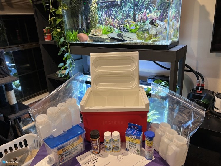 How you test Nitrites with the Sera GmbH Test Kit for aquariums and ponds 