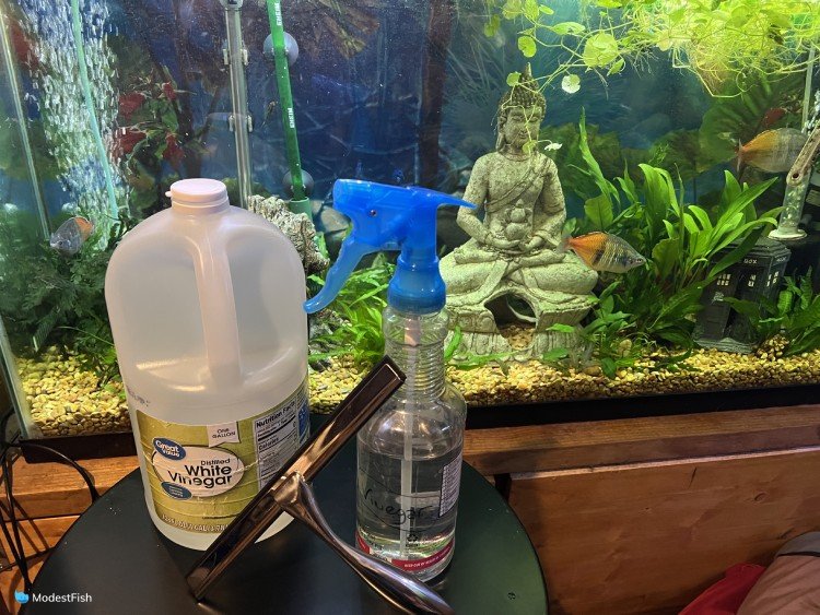 Spritz Aquarium Glass Cleaner, Hard Water Stain Remover