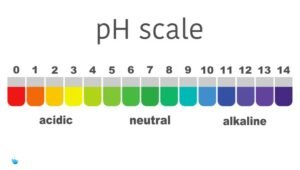 How To Safely Lower PH In Your Aquarium And Keep It Stable