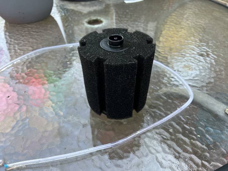 Non-Hydro Sponge Filter