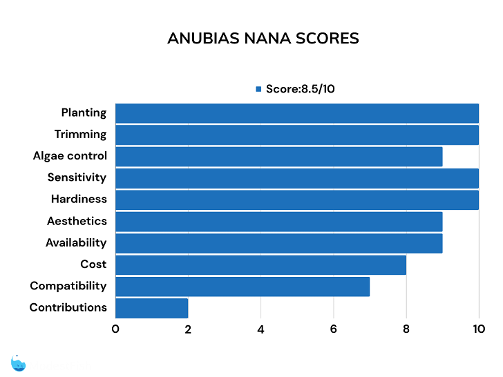 Anubias nana bar chart ratings