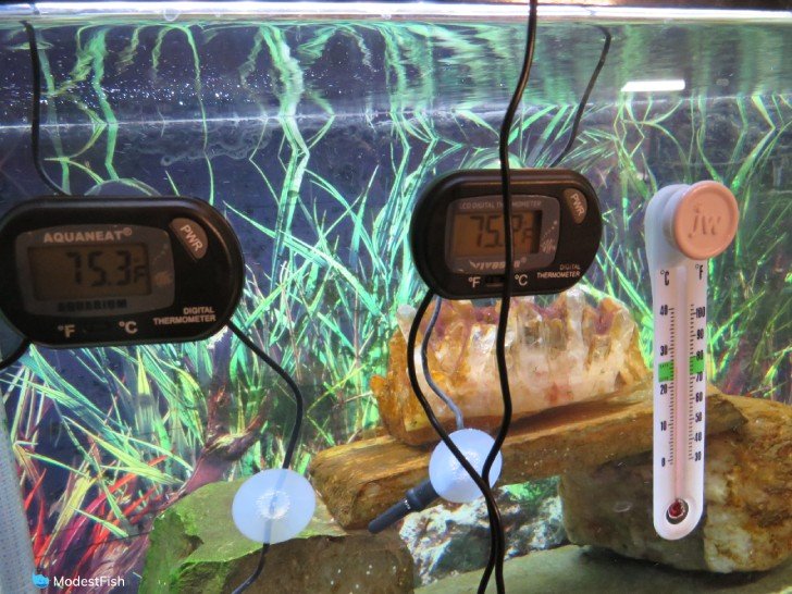 AQUANEAT 3 Pack Aquarium Thermometer Fish Tank Thermometer India