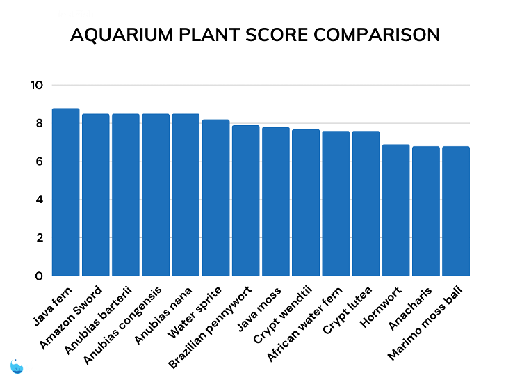 Aquarium plant comparison table