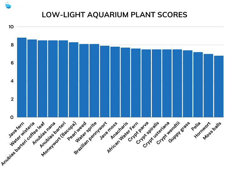 Low light aquarium plants comparison scores