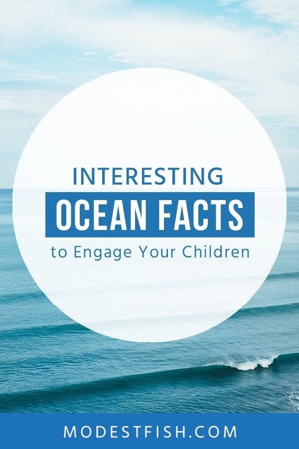 Check out these fun and interesting facts about the ocean and help your kids learn more about why the ocean is so wonderful and needs help. #modestfish #ocean #environment