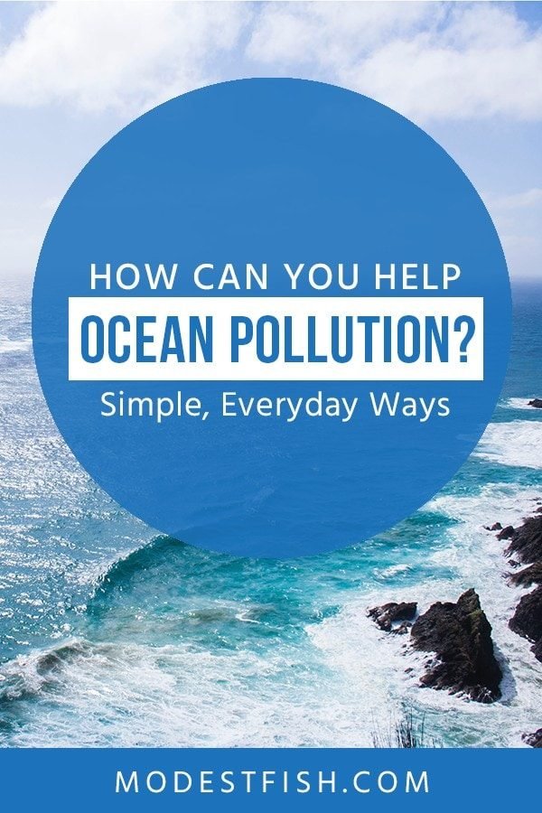 In this article, we will share with you the current state of your ocean and what you can do to help protect the reason you’re alive today. #environmentcare #modestfish